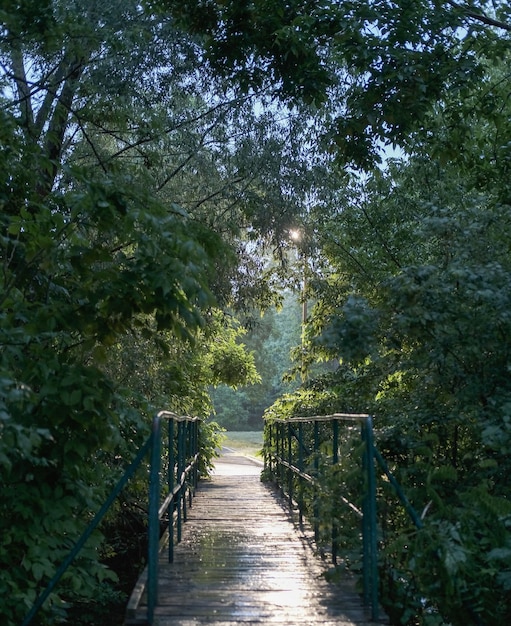 small bridge among the trees in rainy weather in summer