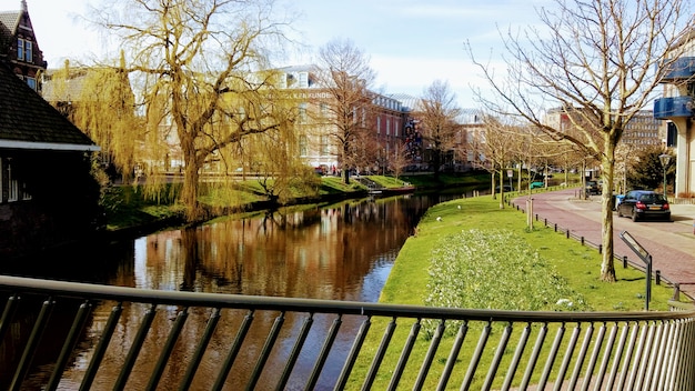 Foto oltre il piccolo ponte