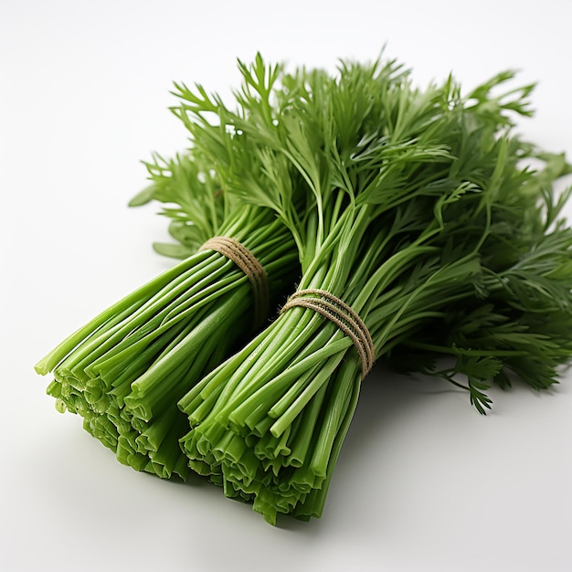 Small Bunch Of Cooking Chive Without Flower White Background