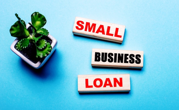 SMALL BUSINESS LOAN is written on wooden blocks on a light blue background near a flower in a pot