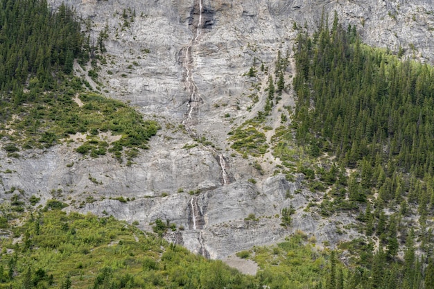 Small cascade flows down from the Cascade Mountain Banff National Park Canadian Rockies