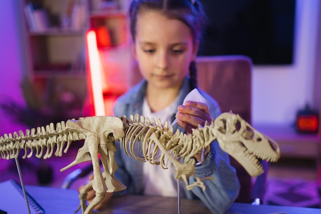 Small caucasian girl sitting at table examine skeleton of dinosaur