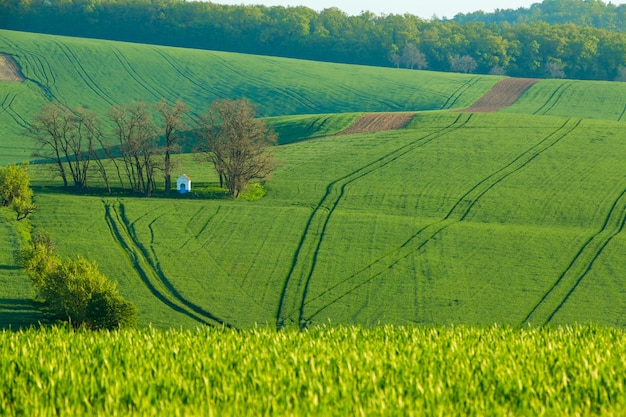 A small chapel on a green field