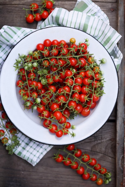 Small cherry tomatoes on the branch