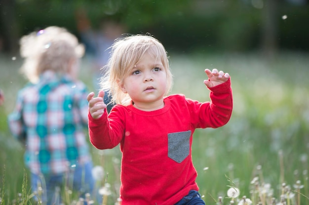 Small child in bright clothes on green grass