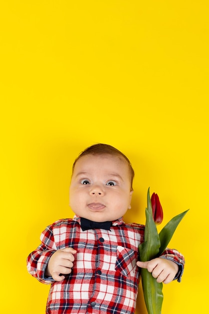 A small child in a plaid red shirt on a yellow background with a tulip in his hands Mockup for advertising design celebration postcards