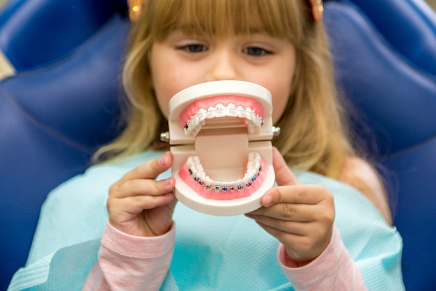 A small child plays with artificial jaws. Children's dentistry. Dental office.