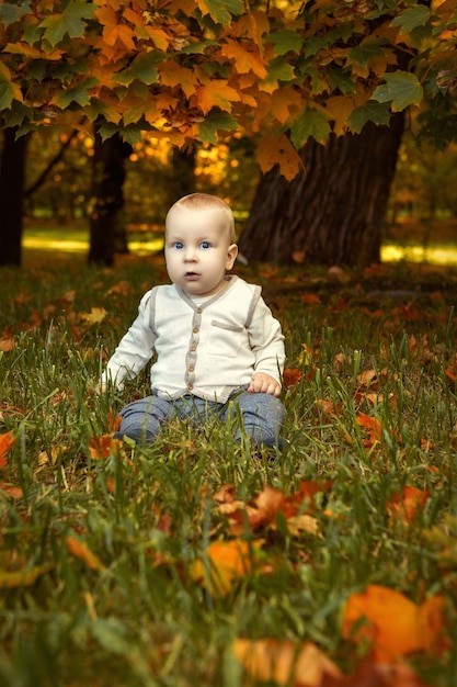 a small child sits in autumn yellow leavesa small child sits in autumn yellow leaves