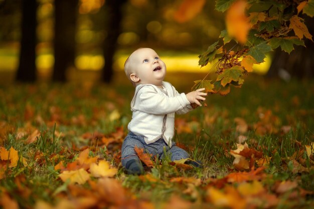 a small child sits in autumn yellow leavesa small child sits in autumn yellow leaves