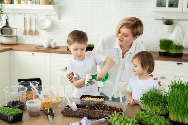 Small children help their mother in the kitchen to plant microgreen water and fill it