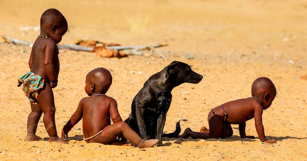 사진 himba 부족의 어린 아이들이 사막에서 개와 놀고 있습니다.