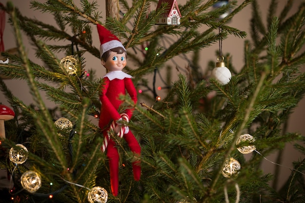 Piccolo giocattolo di natale seduto sui rami di un albero di natale con luci sullo sfondo