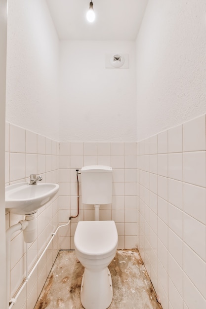 Small clean toilet