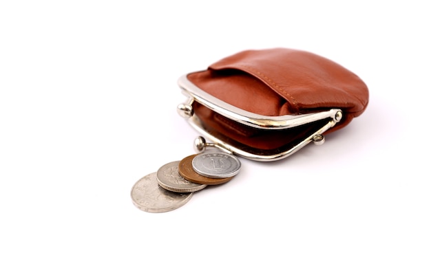 Small coin bag with white backdrop