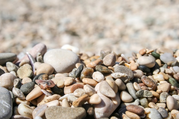 Small colored sea pebbles and shells against a blurred background