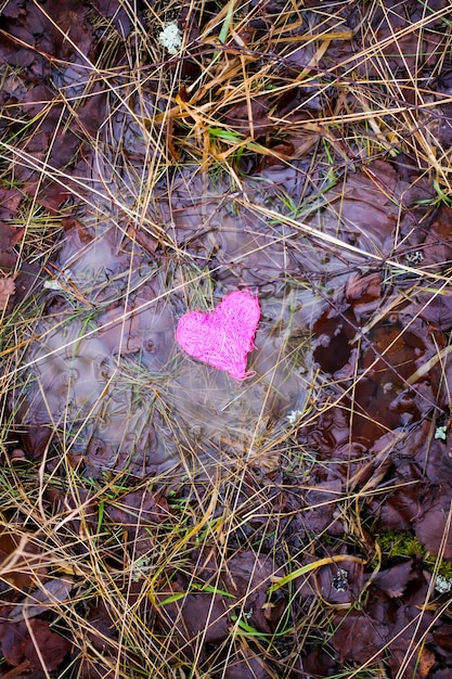 Small colorful heart in a puddle