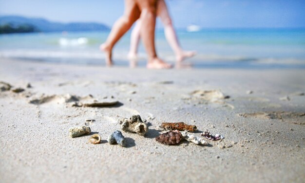 Small corals lie on a sandy beach ,people walk in the background on a Sunny day