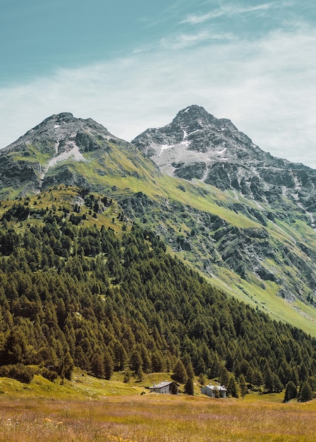 Small country houses rocks and forest in Swiss Alps mountains