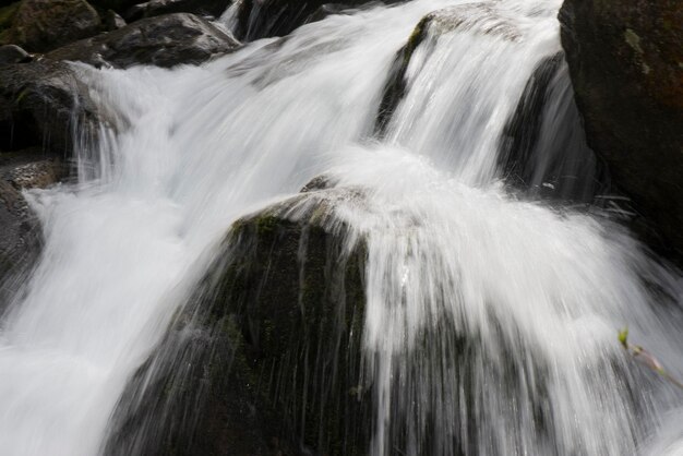 Small creek waterfall with running water