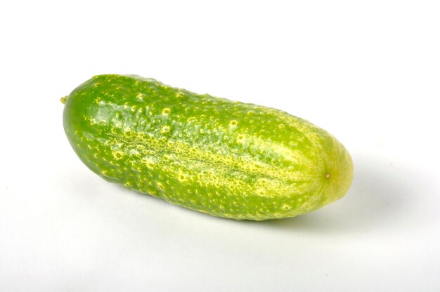 Small cucumber on a white background