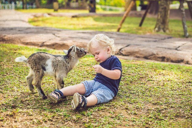 小さなかわいい男の子が小さな新生ヤギに餌をやっています