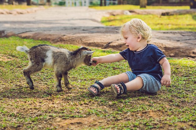 小さなかわいい男の子が小さな新生ヤギに餌をやっています