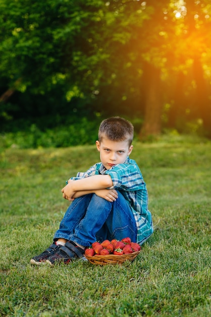 小さなかわいい男の子が熟したおいしいイチゴの大きな箱を持って座っています。収穫。熟したイチゴ。ナチュラルで美味しいベリー。