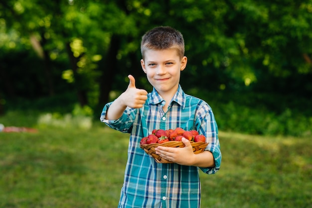 Маленький милый мальчик стоит с большой коробкой спелой и вкусной клубники. Урожай. Спелая клубника. Натуральная и вкусная ягода.