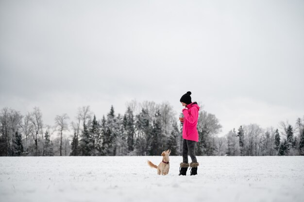 Small cute dog attentively looking at her female owner during an obedience training outside in a snowy nature.