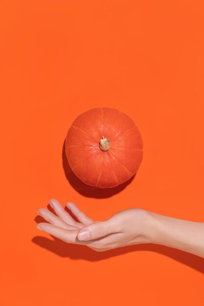 Small decorative pumpkin in women's hand on orange background