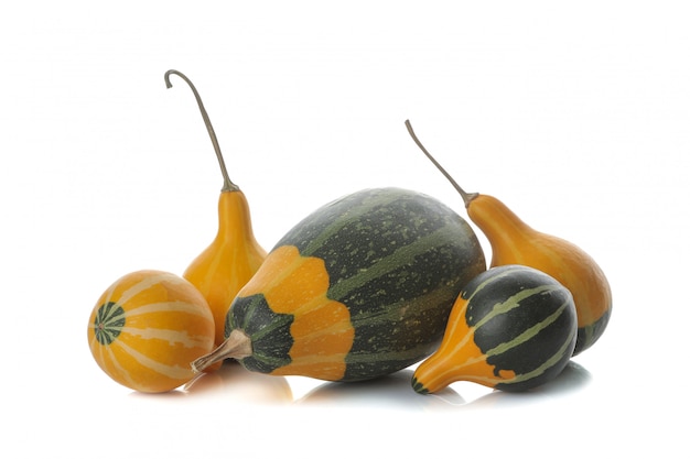 Small decorative yellow and green pumpkin on white isolated background