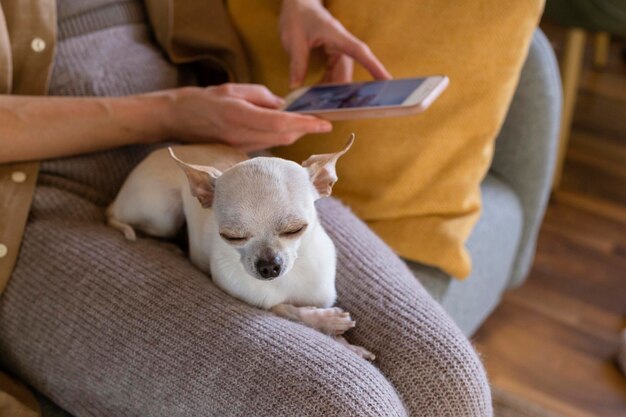 Small dog sitting on lap of woman using vet app on phone