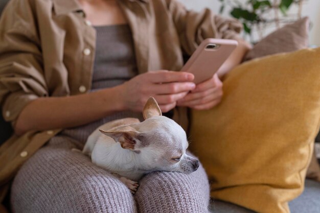 Small dog sitting on lap of woman using vet app on phone