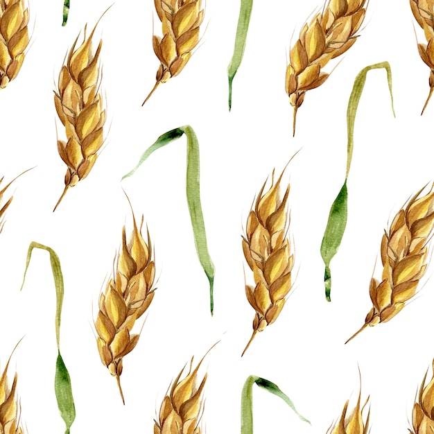 Small ears of wheat watercolor seamless pattern