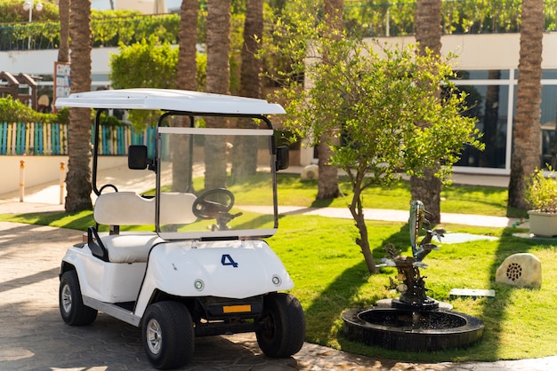 Small electric car for vacationers on hotel