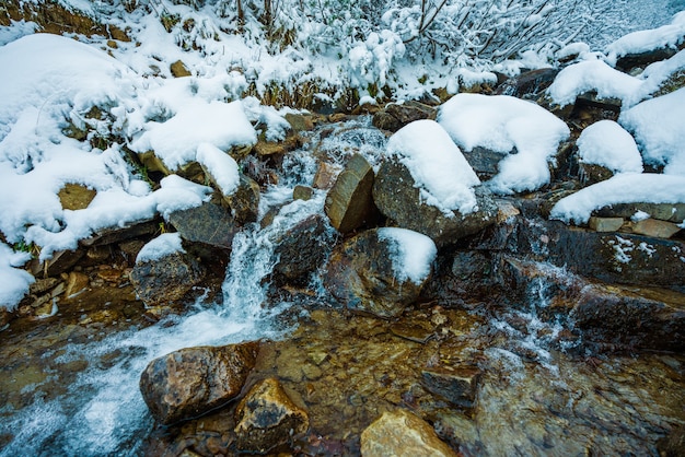 Small fast stream among small wet stones and cold white snow in the picturesque Carpathian mountains in beautiful Ukraine and its fantastic nature