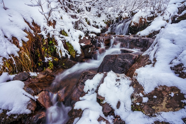 絵のように美しいカルパティア山脈の小さな湿った石と冷たい白い雪の間の小さな速い流れ