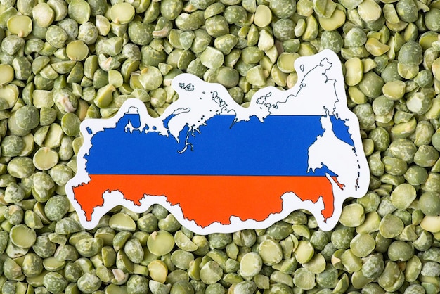 Small flag and map of Russia in green pea Concept of origin of pea grain harvest of pea in Russia