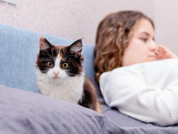 Small fluffy kitten near the girl resting on the couch