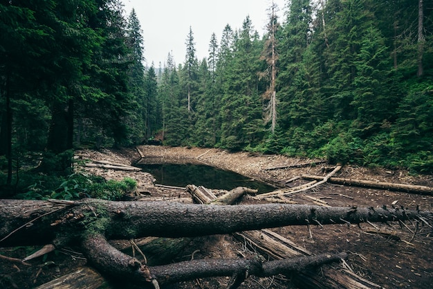 small forest lake in the mountains wild landscape of nature wild nature of European mountains