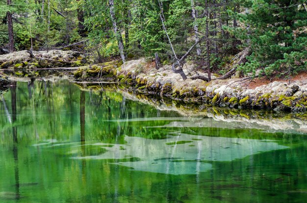 Photo small forest lake with greenish water in the autumn forest, lava lake