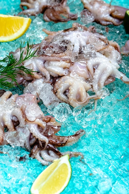 小さな新鮮なタコ、氷の青い海の背景に横たわり、レモンとライムのスライスを輪切りにする