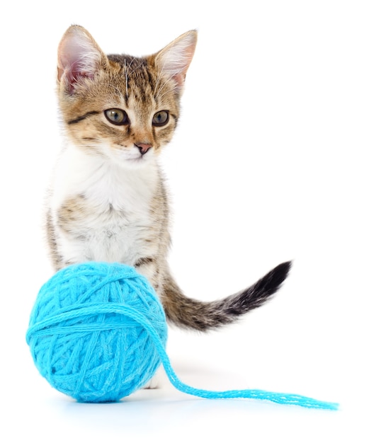 Small funny kitten and clew of thread . Isolated isolated