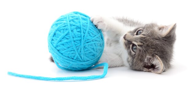 Small funny kitten and clew of thread . Isolated on white background