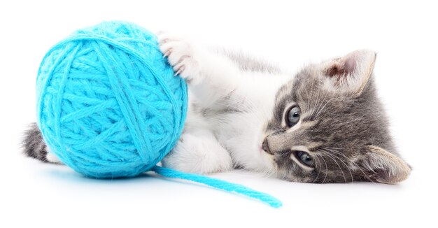 Small funny kitten and clew of thread . Isolated on white