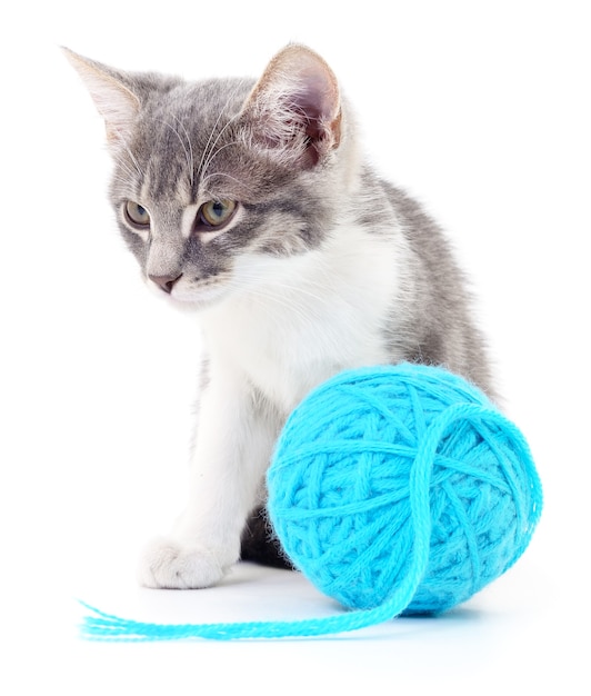 Small funny kitten and clew of thread . Isolated on white