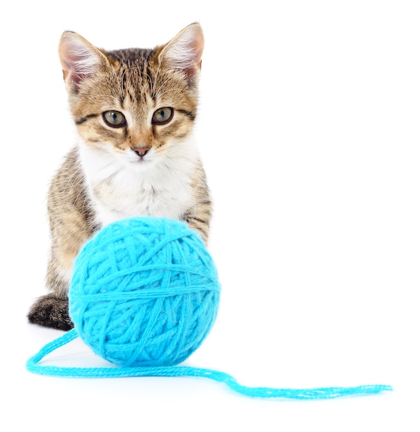 Foto piccolo gattino divertente e bugna di filo. isolato su bianco