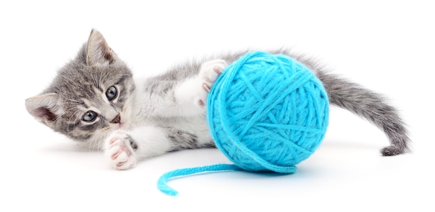 Small funny kitten and clew of thread isolated