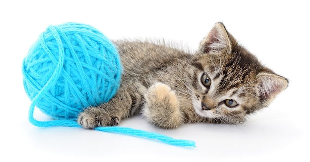 Small funny kitten and clew of thread