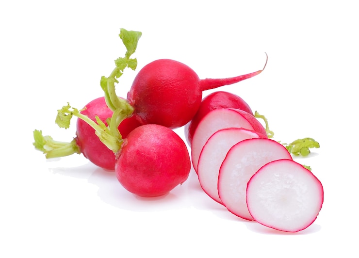 Photo small garden radish isolated on white background